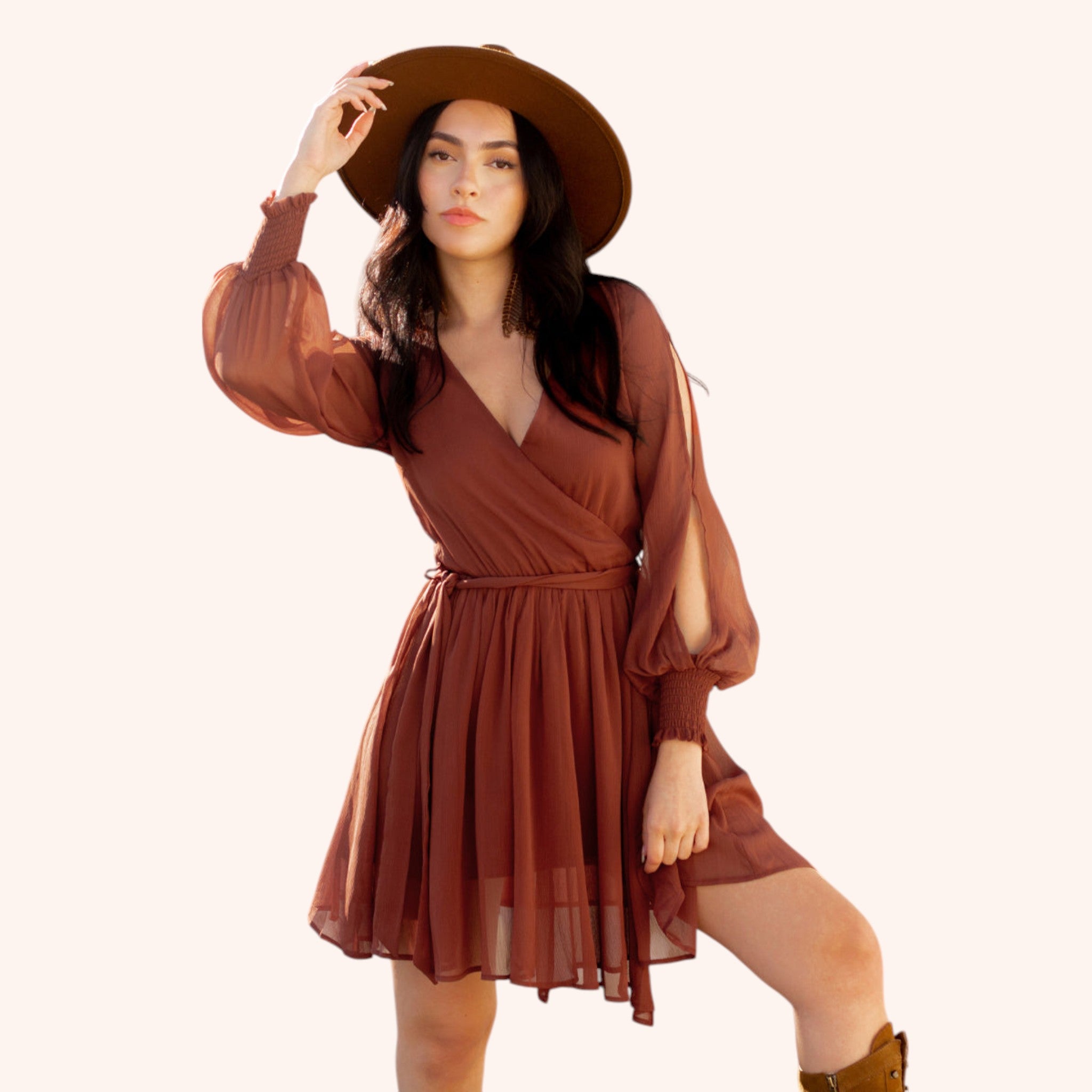 Ani Dress in Rust
